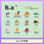 B.A 5代主機煙彈電子煙一盒三顆